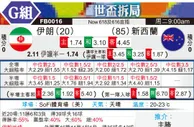 [世界杯] 伊朗vs新西兰