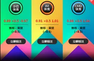 雷恩 VS 里昂 3月30日 03:45 法甲 老伟德CMD体育