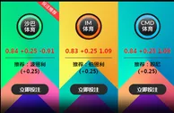 波恩利 VS 狼队 3月30日 23:00 英超 老伟德沙巴体育