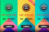 格雷特霍夫 VS 科隆 5月07日 02:30 德乙 ：老伟德IM体育