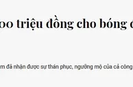 足球资讯：1-0夺冠！重奖5亿！越南足球全面崛起 2天有望包揽男女足冠军
