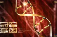 足球赛报：恒大VS申花首发：保塔PK金信煜伊哈洛 郑智镇中场