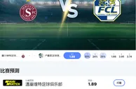 2024 年 10 月 31 日塞尔维特 vs 卢塞恩预测和投注技巧