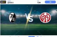 2024 年 11 月 3 日弗赖堡 vs 美因茨预测和投注技巧