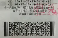 巨额“年终奖”湖北彩民擒获大乐透6247万元