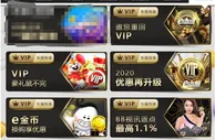 E世博VIP门槛低，优惠多，小伙伴们了解一下