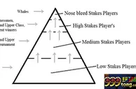 【技巧】终极蛇皮上帝视角之扑克牌中的金字塔效应