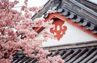 【e世博】e妹带玩-春意满怀，樱花美景、电子百万奖金送给你