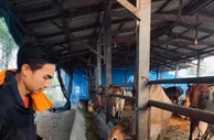 足球资讯：赛事停摆，泰国足坛希望之星返乡养牛务农