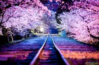 博彩资讯：日本博彩市值估计90亿美元 看好澳门博彩业