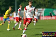 欧U21: 瑞典U21誓灭波兰U21