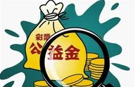 国内彩票：追问1.7万亿彩票金-公益金一半在"睡大觉"?