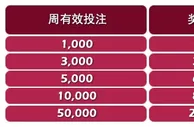 永利皇宫PT老虎机！投注优惠疯狂享！ 