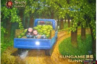 博彩资讯：【太阳城亚洲】妹纸Sunny时光-捻一粒荻香，写一季静美秋光 