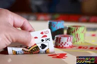 娱乐策略：【技巧】百家乐赢钱必杀技 灵活运用满载而归