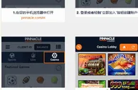 介绍下如何在手机上玩平博的娱乐场游戏