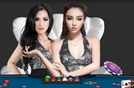 W88奢华顶级真人娱乐城，流畅视讯高额返水！
