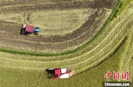 产粮大县湖南东安实现“机械换人” 早稻收割按下“加速键”