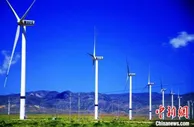 专家建议：青海应以黄河流域水能协作为重点 完善多元储能体系