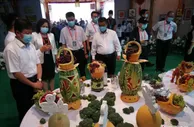 256个品种哈密瓜亮相第十六届新疆哈密瓜节开幕式