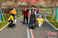 上海：用绿道“网住”城市，让人民亲近自然