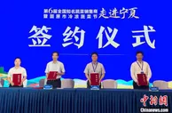 宁夏蔬菜引八方客 超15亿元菜品“出村进城”