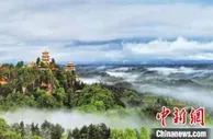湖南龙山文旅携手百合产业赋能乡村振兴 拓宽农民增收致富路