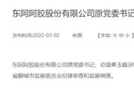 东阿阿胶原总裁秦玉峰接受审查调查