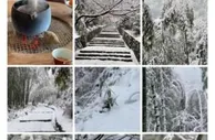 通策医疗董事长“自曝”无视防疫政策？当地政府回应