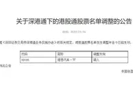 深交所公告：将理想汽车调入深港通下的港股通股票名单