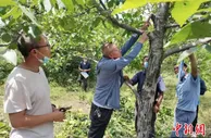 山西和顺农技培训“及时雨” 兜住太行山区农民“钱袋子”