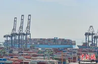 广州港集团开辟131条外贸航线 覆盖海内外主要港口