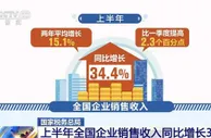 国家税务总局：上半年全国企业销售收入增长稳定 部分行业恢复明显加速