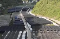贵州铜仁：晶莹玉木耳 撬动大产业