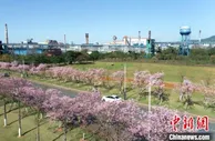 粤北老工业基地韶关“蝶变”赋能传统产业变革转型