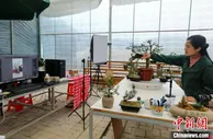 福建连城：电商赋能，农特产品云销天下