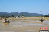 从抓生产到抓全产业链 广东乡村产业向多元高质发展转型