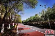 西宁：筑牢城市绿色本底 打造“最干净高原城市”