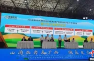 广西驻点招商行动推动签订产业投资项目超3435亿