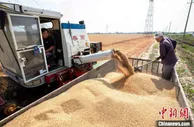 发改委：当前中国粮食安全形势总体向好