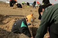甘肃敦煌推“互联网+义务植树”：为戈壁荒漠“披绿”注新力量