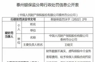 人保财险泰州市分公司因财务数据不真实等案由被罚