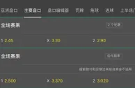 欧洲杯赌球调查：高仿网站横行，高利润诱惑玩家入局
