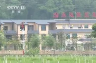 今年上半年全国创建50个国家现代农业产业园 财政涉农资金“立体护航”乡村振兴
