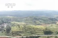 贵州普安：千余亩辣椒大丰收 村民采摘忙