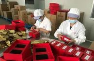 安徽祁门打造“世界红茶之都”