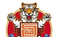 玩球话题：中甲广东华南虎正式解散，辽足还有7人没签字！足协或取消扩军计划