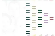 玩球网报：新版菲律宾纸币来咯！别误以为手中的是假币！
