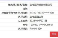 密春雷及览海控股被强制执行超7亿元