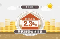 我国粮食产量创历史新高 前11个月粮食市场运行总体平稳